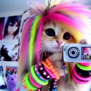 Meet your Posher, Isabella